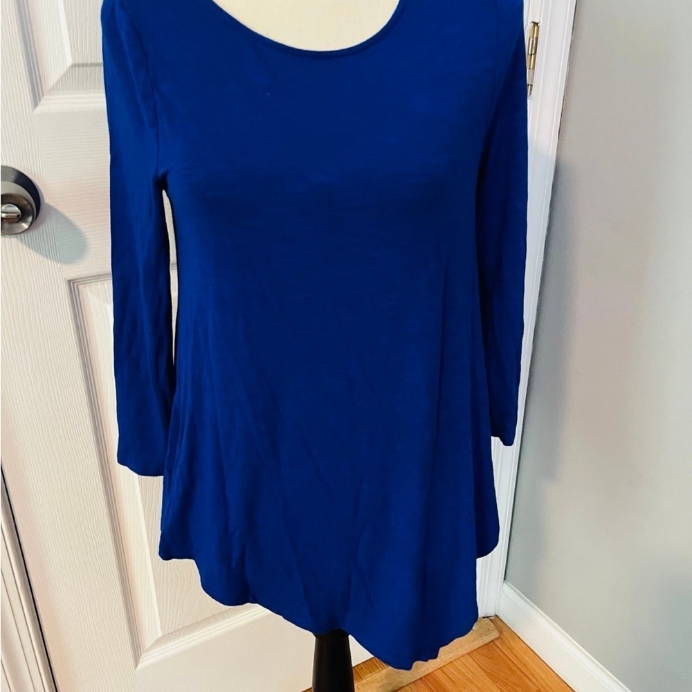 Cupio Blue Long Sleeve Tunic Top